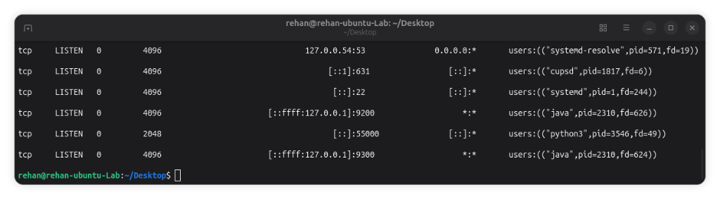 Ubuntu ss command output auditing active listening TCP and UDP ports